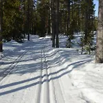 Apartmán Hjornet - Fulufjellets Nasjonalparker - Sno - Alpint - Langrenn - Snoscooter