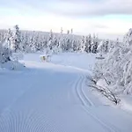 Hjornet - Fulufjellets Nasjonalparker - Sno - Alpint - Langrenn - Snoscooter * Ljordalen