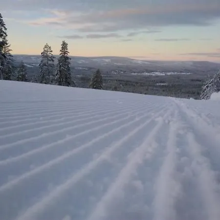 Hjornet - Fulufjellets Nasjonalparker - Sno - Alpint - Langrenn - Snoscooter *