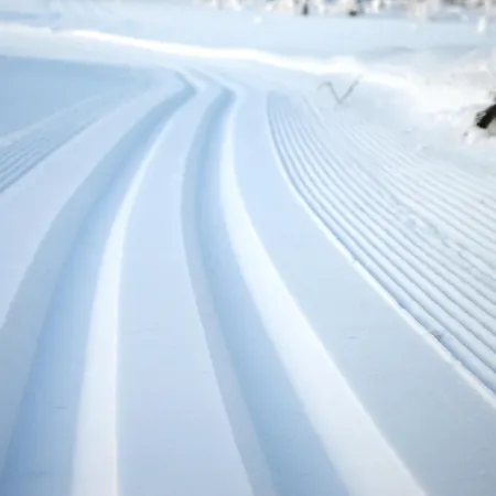 Hjornet - Fulufjellets Nasjonalparker - Sno - Alpint - Langrenn - Snoscooter * Ljordalen