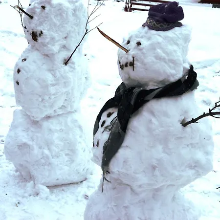 Hjornet - Fulufjellets Nasjonalparker - Sno - Alpint - Langrenn - Snoscooter