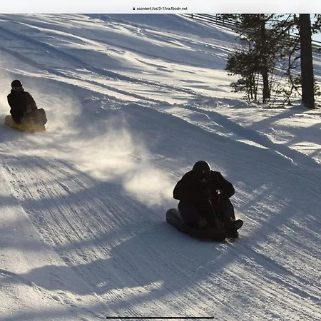 Hjornet - Fulufjellets Nasjonalparker - Sno - Alpint - Langrenn - Snoscooter *