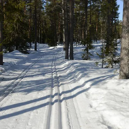 Appartement Hjornet - Fulufjellets Nasjonalparker - Sno - Alpint - Langrenn - Snoscooter