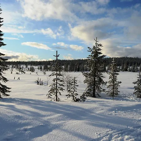 Hjornet - Fulufjellets Nasjonalparker - Sno - Alpint - Langrenn - Snoscooter Ljordalen