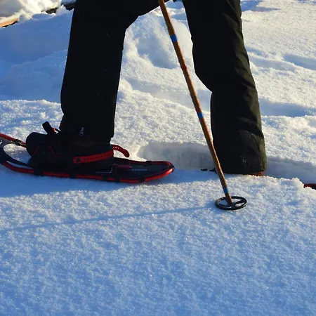 Fulufjellshjørnet - Winter Wonderland - Snow&nature In Norway *