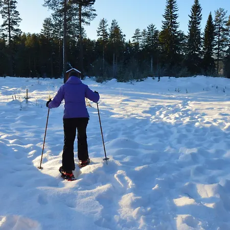 Fulufjellshjørnet - Winter Wonderland - Snow&nature In Norway