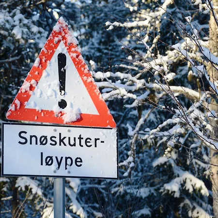 Apartment Fulufjellshjørnet - Winter Wonderland - Snow&nature In Norway *