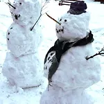 Hjornet - Fulufjellets Nasjonalparker - Sno - Alpint - Langrenn - Snoscooter