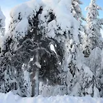 Hjornet - Fulufjellets Nasjonalparker - Sno - Alpint - Langrenn - Snoscooter Appartement