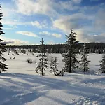 Hjornet - Fulufjellets Nasjonalparker - Sno - Alpint - Langrenn - Snoscooter Ljordalen