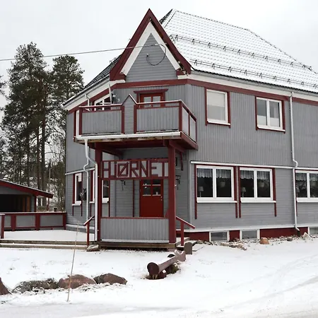 Hjornet - Fulufjellets Nasjonalparker - Sno - Alpint - Langrenn - Snoscooter Ljordalen