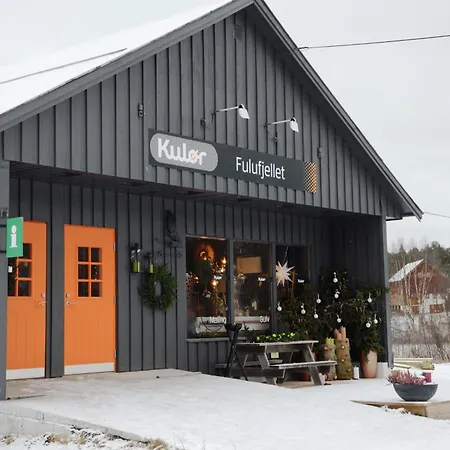 Hjornet - Fulufjellets Nasjonalparker - Sno - Alpint - Langrenn - Snoscooter Appartement
