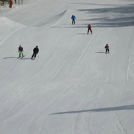 Hjornet - Fulufjellets Nasjonalparker - Sno - Alpint - Langrenn - Snoscooter * Ljordalen