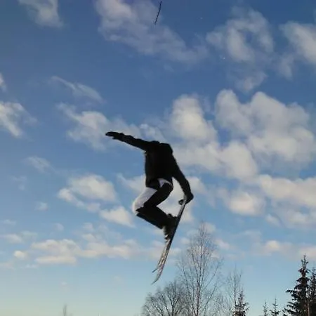 Hjornet - Fulufjellets Nasjonalparker - Sno - Alpint - Langrenn - Snoscooter Apartmán *