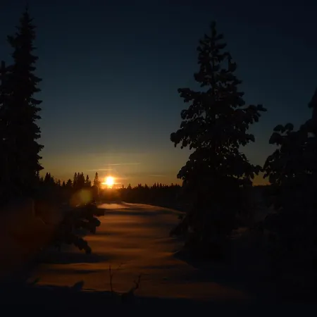 Hjornet - Fulufjellets Nasjonalparker - Sno - Alpint - Langrenn - Snoscooter *