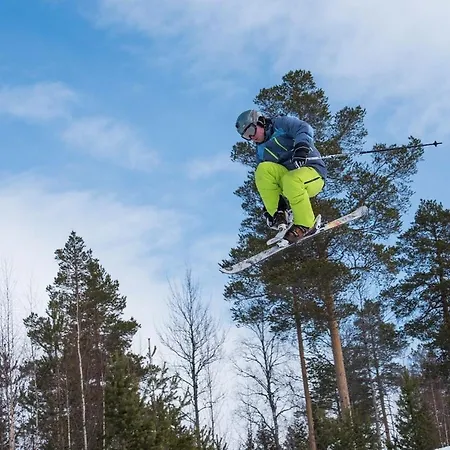 Hjornet - Fulufjellets Nasjonalparker - Sno - Alpint - Langrenn - Snoscooter Ljordalen