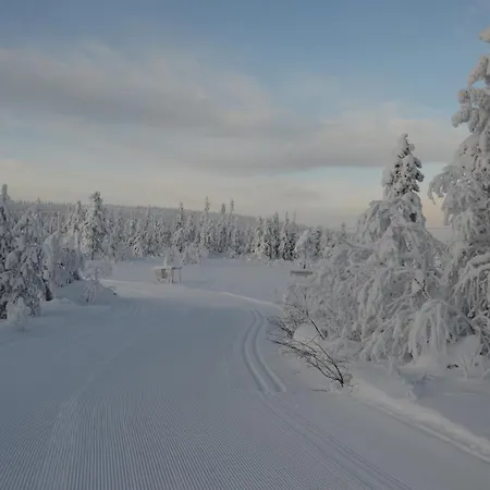 Hjornet - Fulufjellets Nasjonalparker - Sno - Alpint - Langrenn - Snoscooter