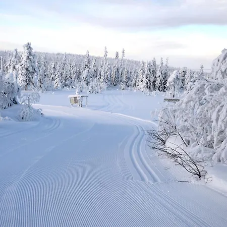 Hjornet - Fulufjellets Nasjonalparker - Sno - Alpint - Langrenn - Snoscooter * Ljordalen